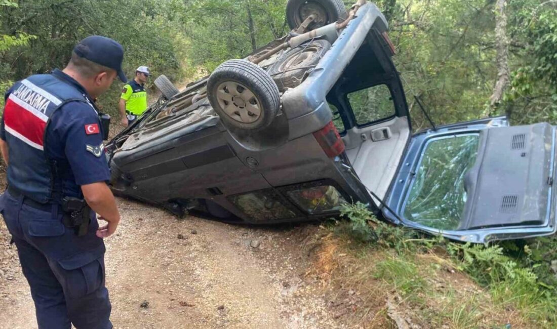 Bilecik’te yaşanan bir trafik kazasında, seyir halindeki bir hafif ticari