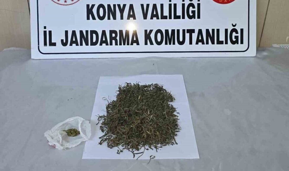 Konya’da jandarma ekipleri tarafından gerçekleştirilen operasyonlarda önemli miktarda uyuşturucu madde