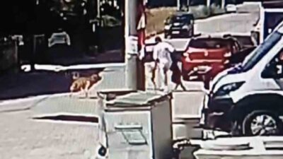 Kapaklı ilçesinde bir genç, köpeğini gezdirmek amacıyla sokakta yürürken başka