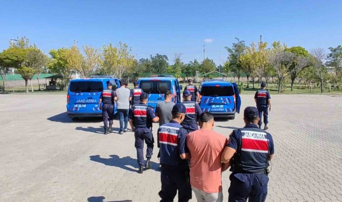 Aksaray’da köpek dövüşleri düzenleyip bu acımasız görüntüleri sosyal medyada paylaşan
