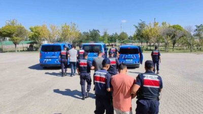 Aksaray’da köpek dövüşleri düzenleyip bu acımasız görüntüleri sosyal medyada paylaşan