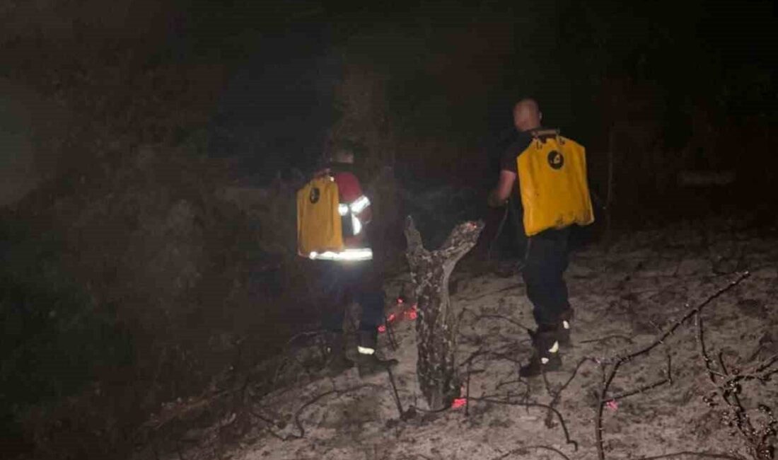 Kosova’nın Prizren şehri yakınlarında meydana gelen orman yangını, itfaiye ekiplerinin