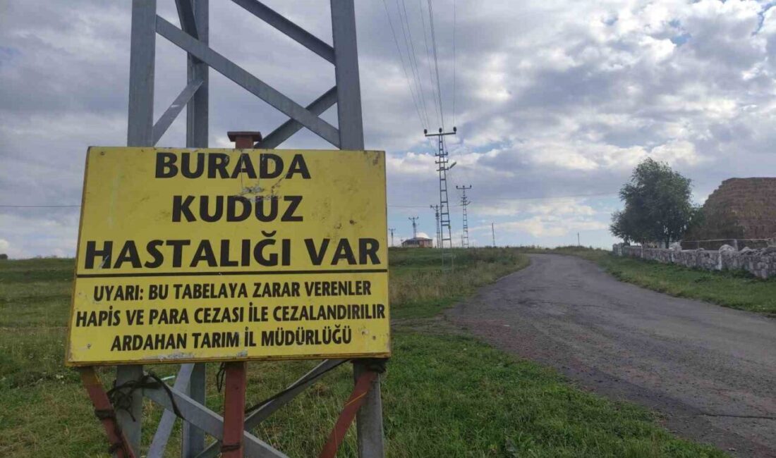 Ardahan’da, Gürçayır Mahallesi’nde bir büyükbaş hayvanda kuduz virüsü tespit edilmesi