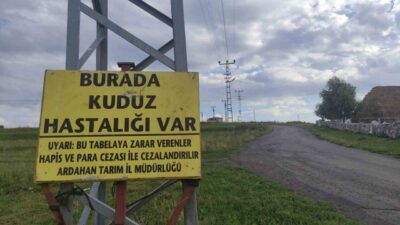 Ardahan’da, Gürçayır Mahallesi’nde bir büyükbaş hayvanda kuduz virüsü tespit edilmesi