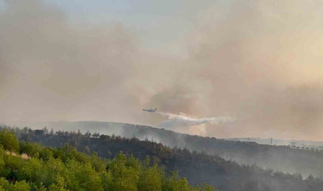 Manisa’nın Kula ilçesinde tarım arazisinde başlayan ve ormanlık alana yayılan