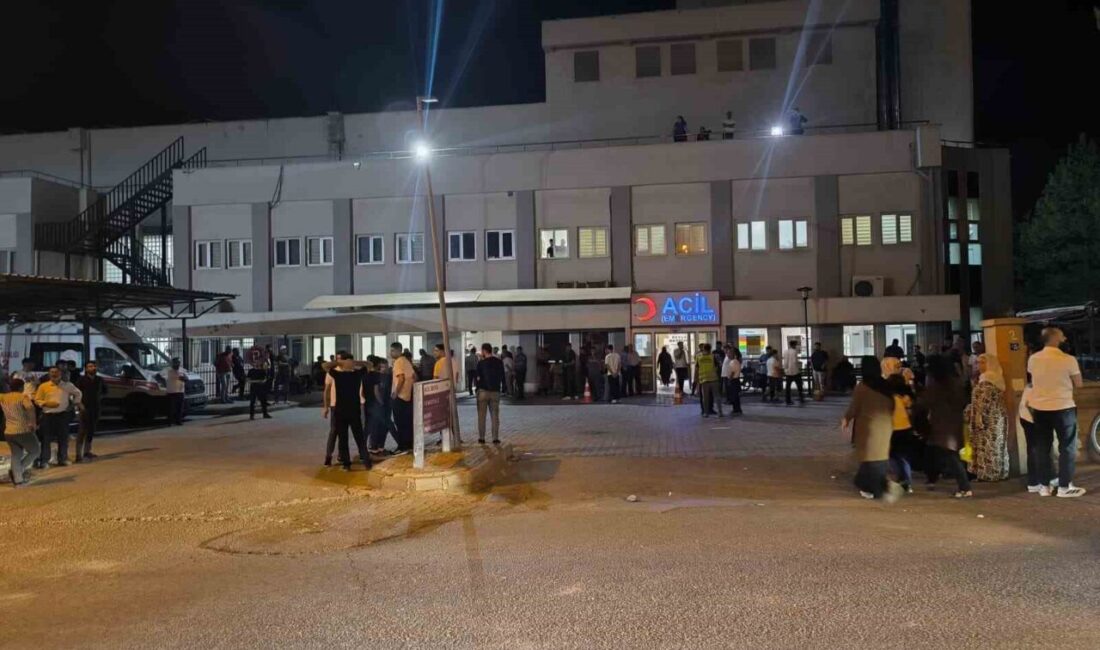 Siirt’in Kurtalan ilçesinde meydana gelen trafik kazasında, otomobilin çarpması sonucu