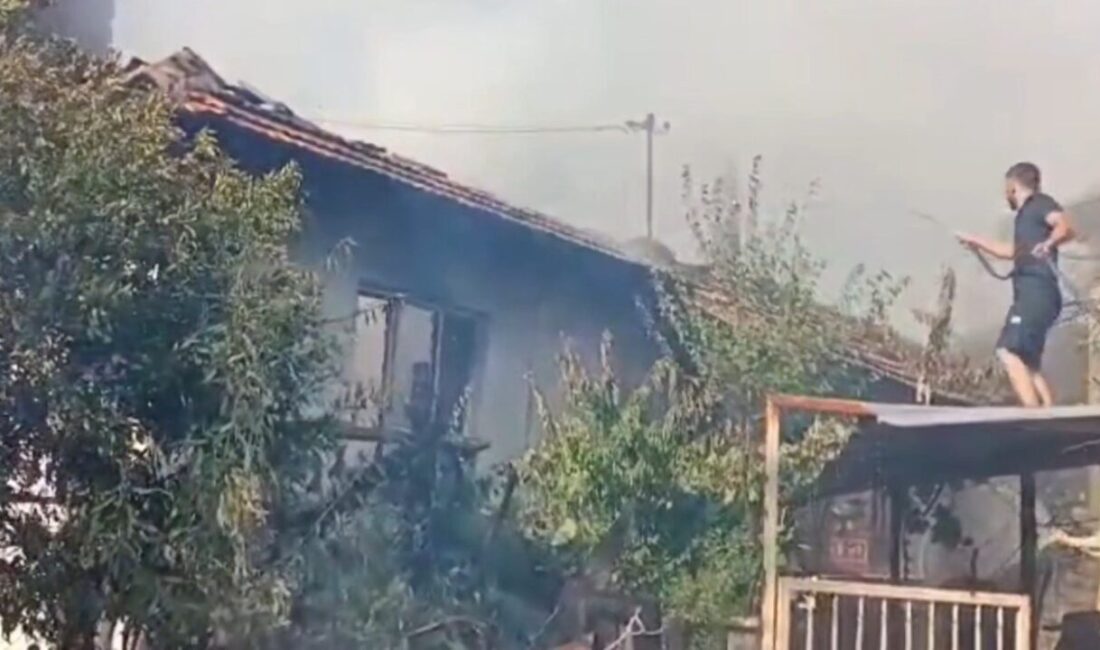 Kütahya’nın Tavşanlı ilçesine bağlı Balıköy beldesinde bulunan Aydınlar köyünde, tek