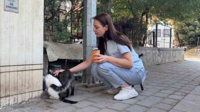 Kütahya’da sokak kedilerini besleyen Şükran Kavgacı’nın bakımını üstlendiği kedilerden biri,