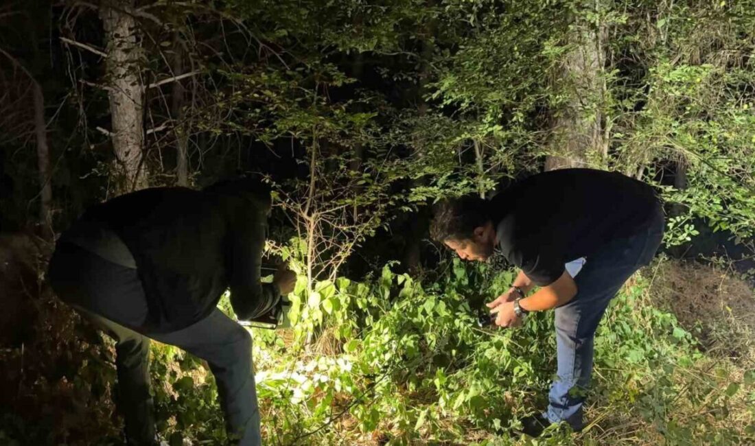 Kütahya’nın Maltepe Mahallesi Ahmet Yakupoğlu Sokak’ta bulunan ormanlık alanda, 24
