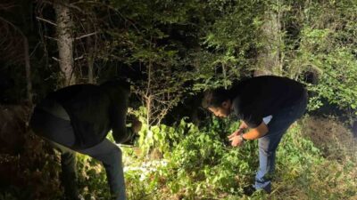 Kütahya’nın Maltepe Mahallesi Ahmet Yakupoğlu Sokak’ta bulunan ormanlık alanda, 24