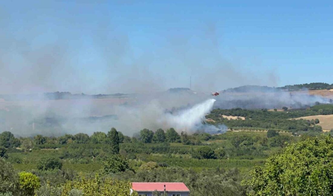 Çanakkale’nin Lapseki ilçesinde tarım arazisinde çıkan yangına Orman Bölge Müdürlüğü
