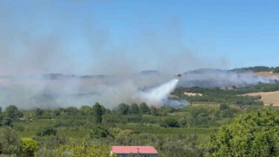 Çanakkale’nin Lapseki ilçesinde tarım arazisinde çıkan yangına Orman Bölge Müdürlüğü