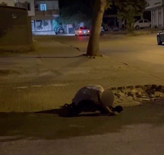 Adıyaman’da, bir kişinin iddia edildiğine göre uyuşturucu etkisi altında sokakta