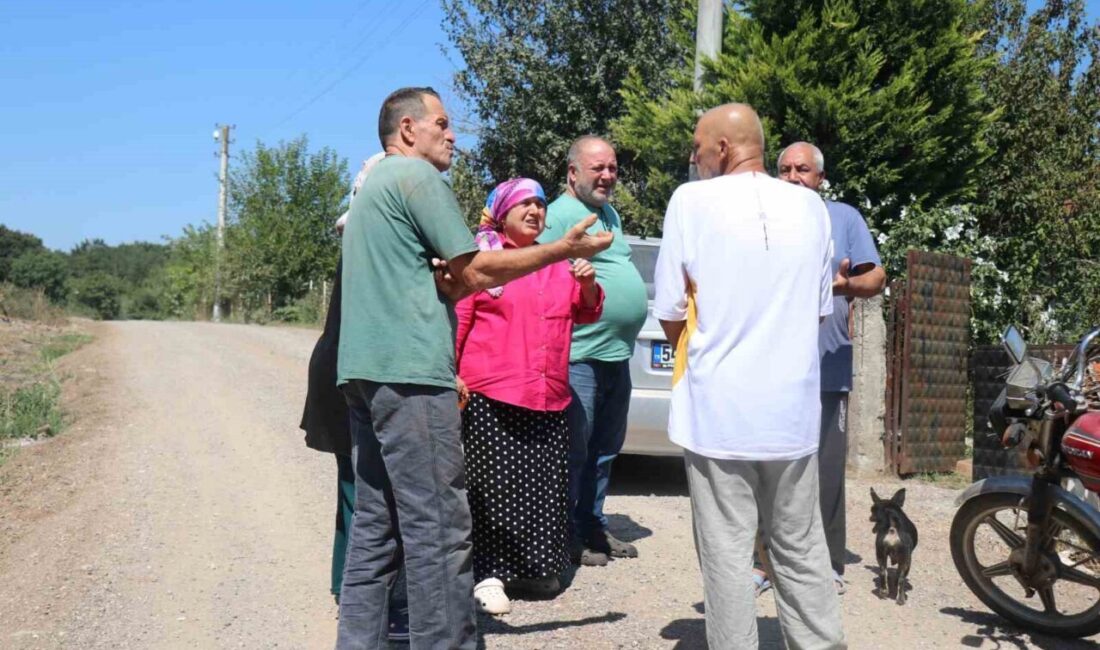 Adapazarı ilçesine bağlı bir mahallede geceleri yaşanan rahatsız edici olayları
