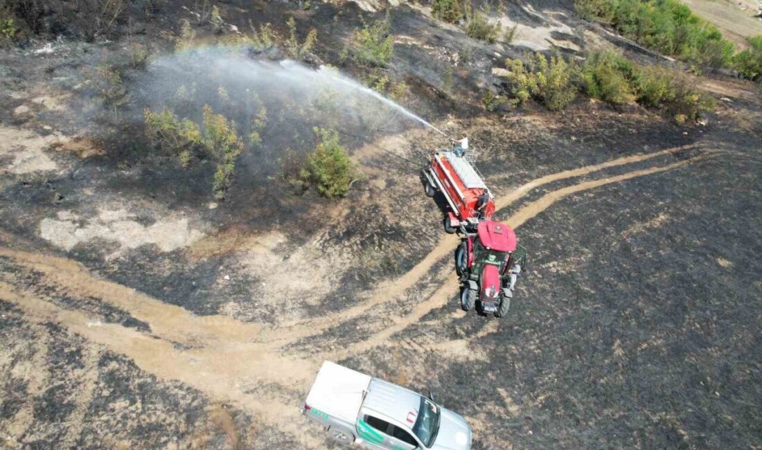 Sakarya’nın Kaynarca ilçesinde yaşanan yangın, bölgedeki makilik alanda çıktı ancak