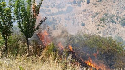 Malatya’nın Doğanşehir ilçesinde çıkan yangında, fazla sayıda meyve ağacı ve