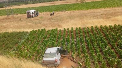 Malatya’da, sürücüsü direksiyon hakimiyetini kaybeden bir otomobil, yol kenarındaki yaklaşık