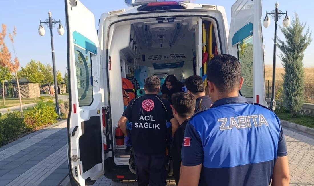 Battalgazi Belediyesi Zabıta Müdürlüğü ekipleri, Malatya’nın Battalgazi ilçesinde, Hasırcılar Mahallesi’ndeki