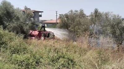 Manavgat ilçesinde çıkan yangın, itfaiye ekipleri tarafından başarılı bir şekilde
