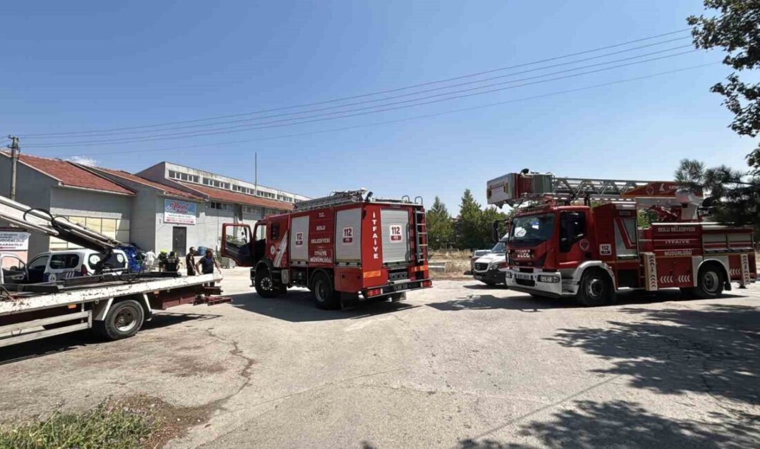 Bolu’da bir mantar üretim tesisi, sineklere karşı yapılan ilaçlama çalışması