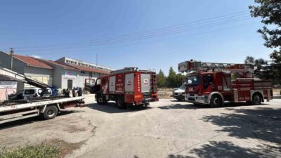 Bolu’da bir mantar üretim tesisi, sineklere karşı yapılan ilaçlama çalışması