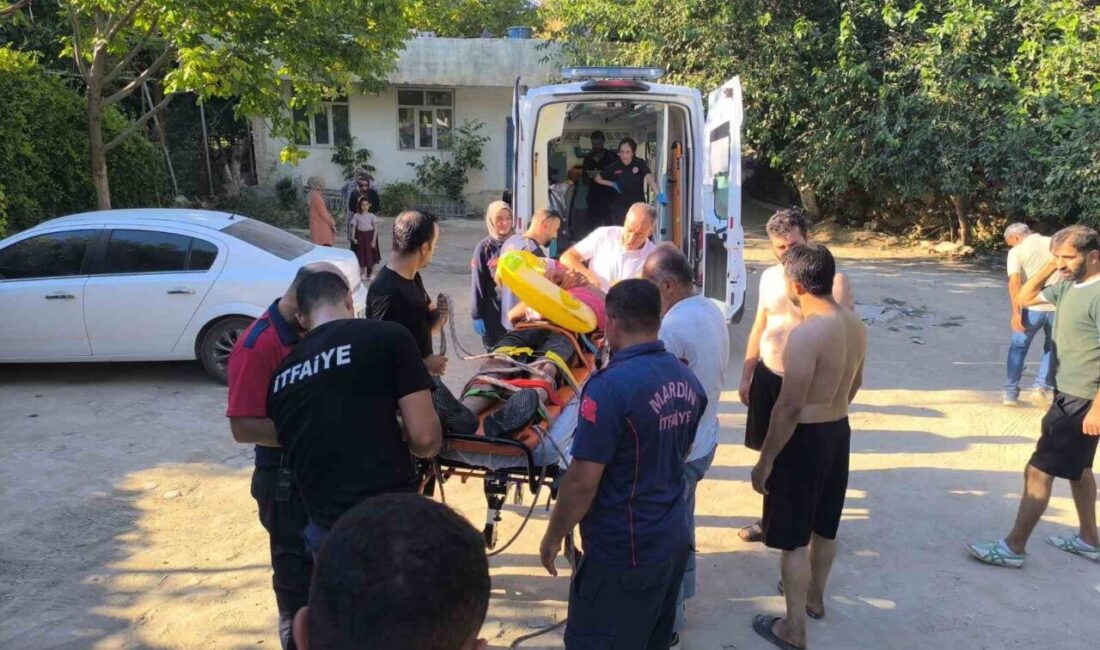 Mardin’in Kızıltepe ilçesinde bir kişi, Ali Paşa Mahallesi’nde kayalıklardan düşerek