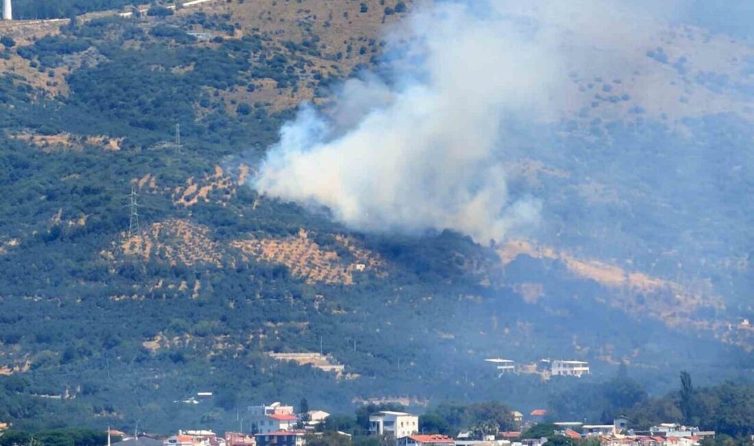 Balıkesir’in Marmara ilçesindeki ormanlık alanda çıkan yangına Orman Bölge Müdürlüğü