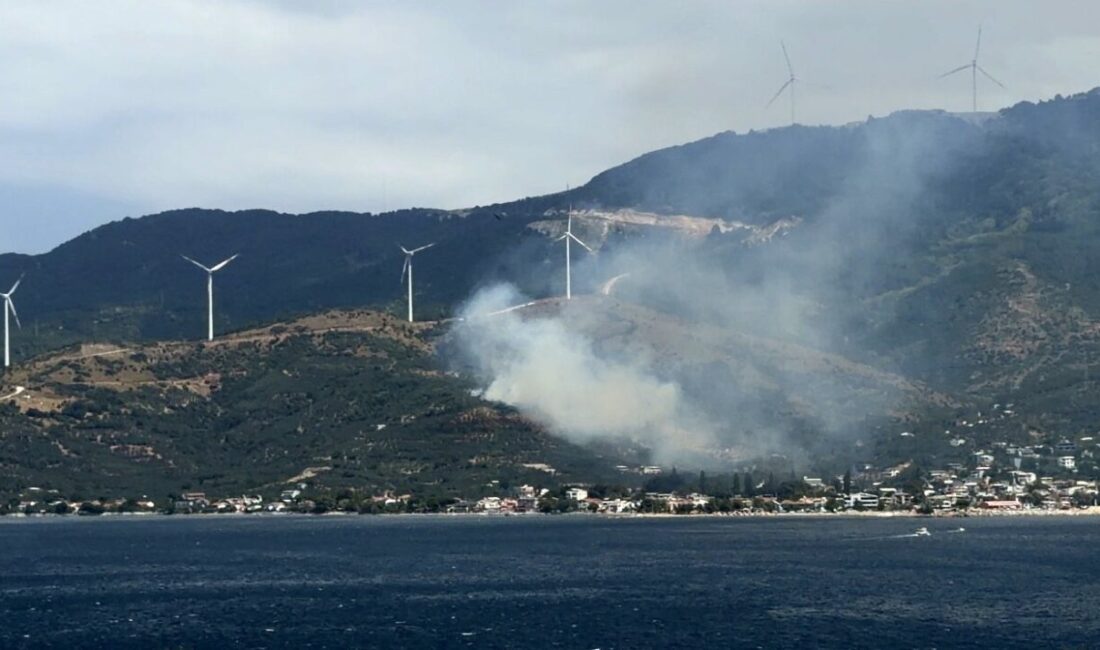 Balıkesir’in Marmara ilçesinde meydana gelen orman yangınına sebep olan bir