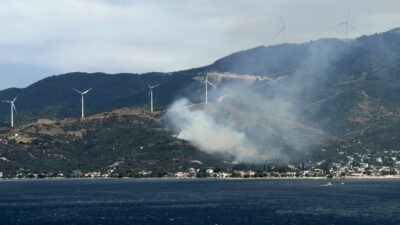 Balıkesir’in Marmara ilçesinde meydana gelen orman yangınına sebep olan bir