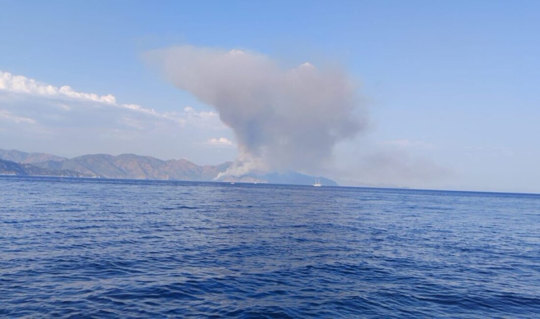 Marmaris ilçesindeki Kabakargı Koyu’ndaki ormanlık alanda yangın çıktı. Yangın, akşam