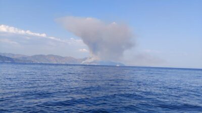 Marmaris ilçesindeki Kabakargı Koyu’ndaki ormanlık alanda yangın çıktı. Yangın, akşam