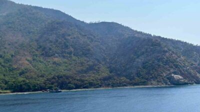 Muğla’nın Marmaris ilçesinde dün akşam başlayan orman yangınının enerjisi, ekiplerin