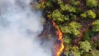 Marmaris ilçesine bağlı Kabakargı Koyu’ndaki ormanlık alanda çıkan yangına 23