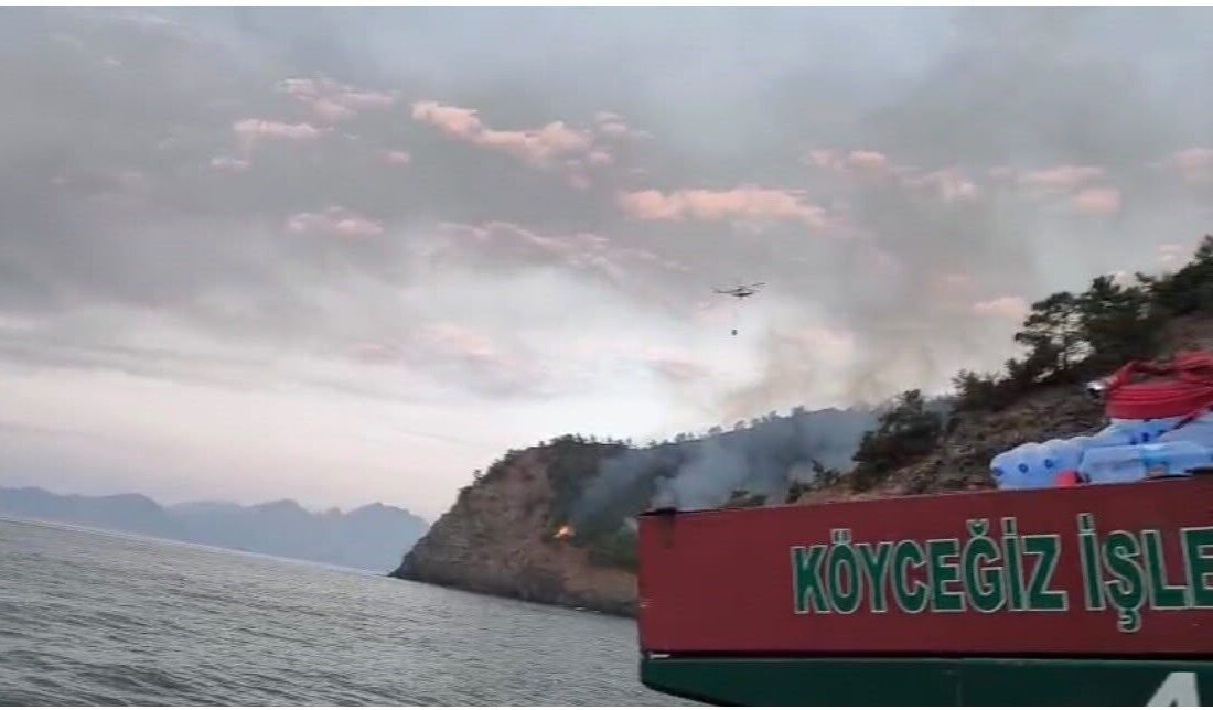 Muğla’nın Marmaris ilçesinde dün akşam başlayan orman yangınıyla mücadele sürüyor.