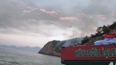 Muğla’nın Marmaris ilçesinde dün akşam başlayan orman yangınıyla mücadele sürüyor.