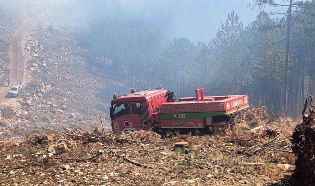 Muğla’nın Menteşe ilçesinde, Yılanlı Kurdu mevkisinde başlayan orman yangını, ekiplerin