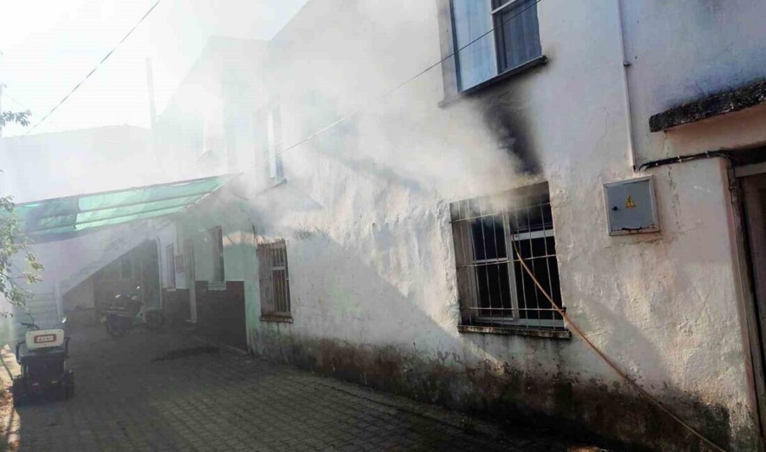 Muğla ilinin Menteşe ilçesine bağlı Yerkesik Mahallesi’nde meydana gelen yangında