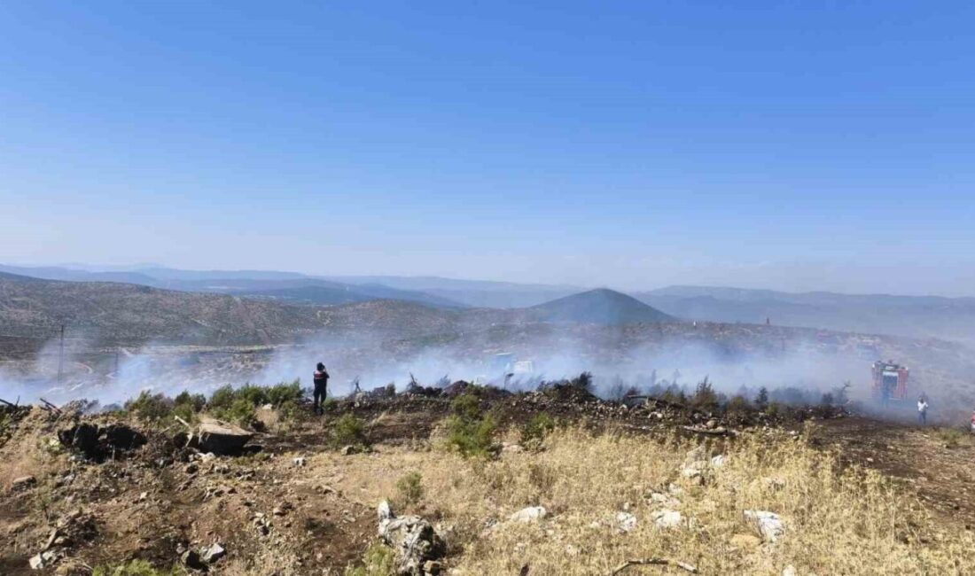 Muğla’nın Menteşe ilçesine bağlı Kozağaç Mahallesi’nde Koçpınar mevkiinde, makilik alanda