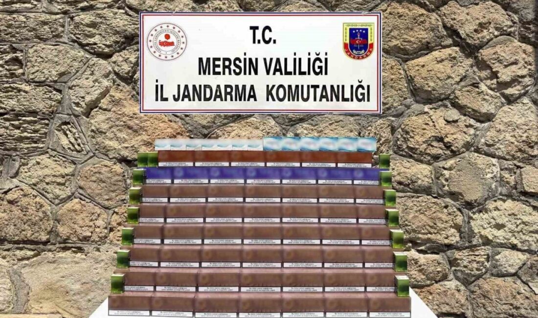 Mersin’de Jandarma ekipleri tarafından gerçekleştirilen bir operasyonda 3 bin 850