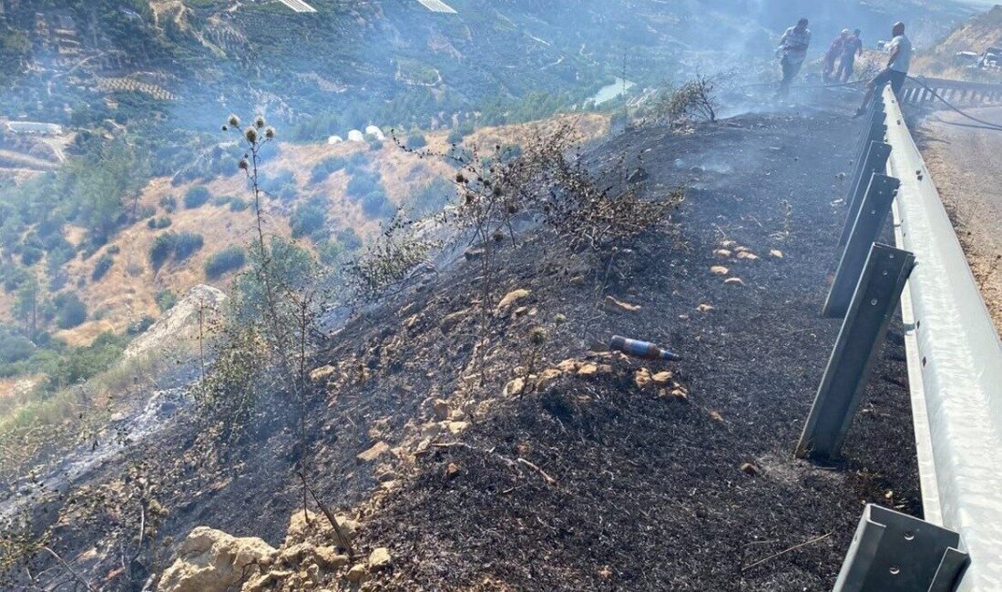 Mersin’in Silifke ilçesinde otluk alanda başlayan ve ormana doğru yayılan