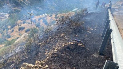 Mersin’in Silifke ilçesinde otluk alanda başlayan ve ormana doğru yayılan
