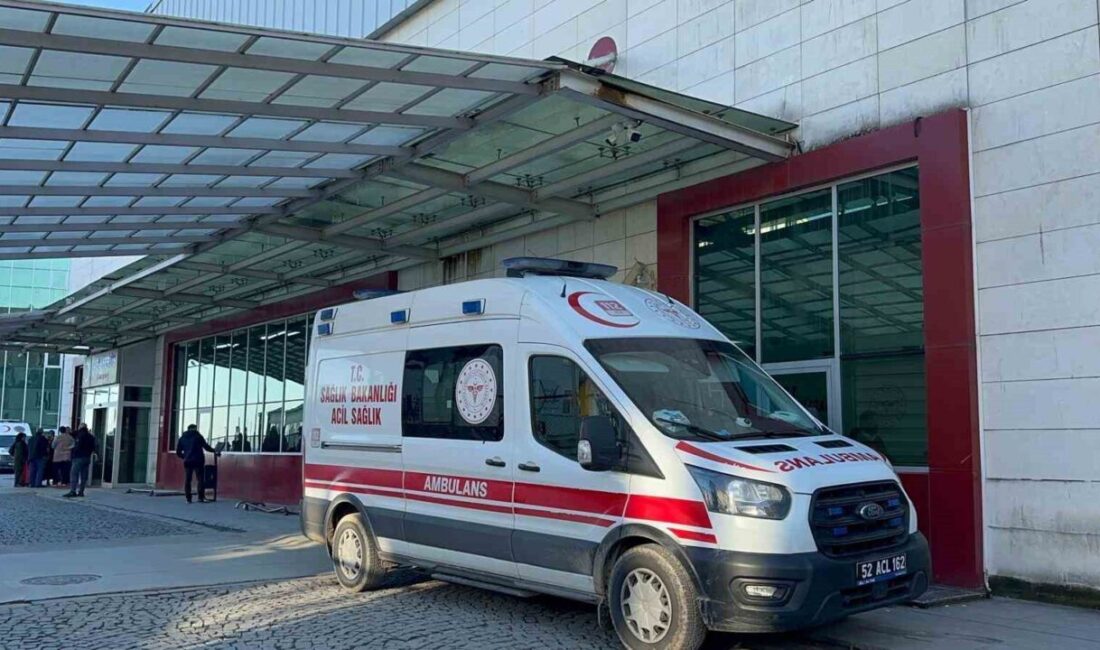 Ordu’nun Fatsa ilçesinde mevsimlik tarım işçisi olan iki kardeş, serinlemek