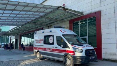 Ordu’nun Fatsa ilçesinde mevsimlik tarım işçisi olan iki kardeş, serinlemek