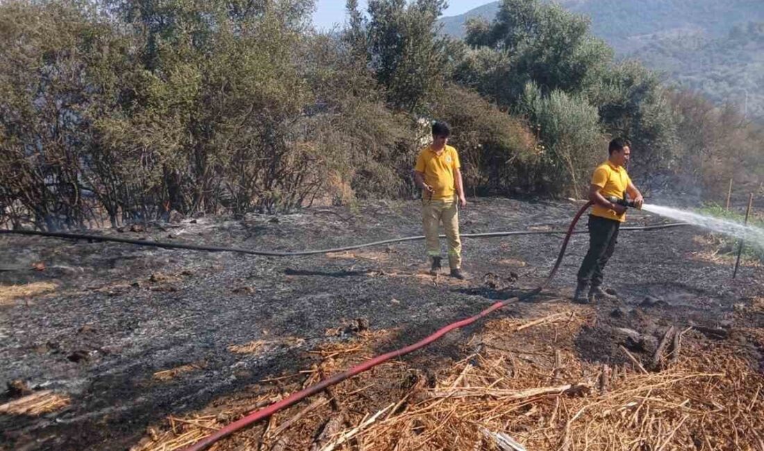 Muğla’nın Milas ilçesine bağlı Bafa Mahallesi’nde tarım arazisinde çıkan yangın,