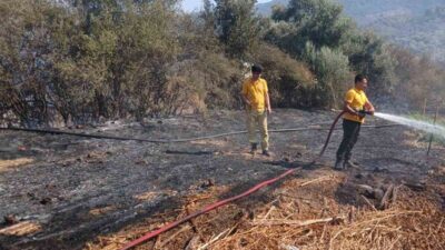 Muğla’nın Milas ilçesine bağlı Bafa Mahallesi’nde tarım arazisinde çıkan yangın,