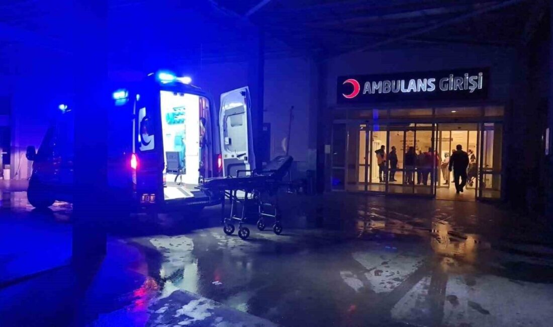 Sultanhisar ilçesinde gerçekleşen trafik kazasında bir minibüs, sürücüsünün kontrolünü kaybetmesi
