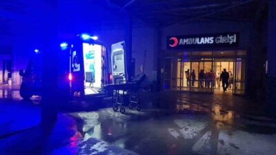 Sultanhisar ilçesinde gerçekleşen trafik kazasında bir minibüs, sürücüsünün kontrolünü kaybetmesi