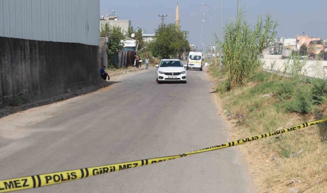 Adana’da Fevzipaşa Mahallesi’nde meydana gelen olayda, seyir halindeki bir araca