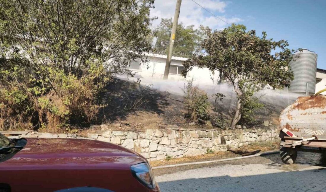 Mudurnu ilçesine bağlı Delice köyü Bayramlı Mahallesinde, tavuk çiftliklerinin yakınında