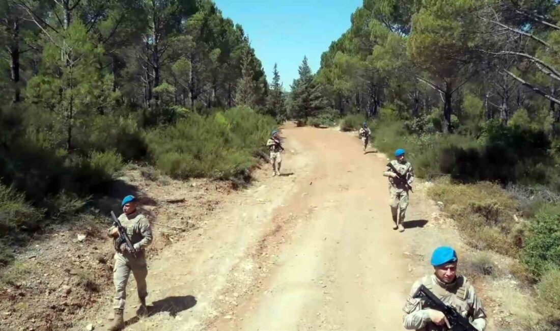 Muğla’da, yeryüzü cenneti olarak nitelendirilen bölgenin eşsiz ormanları ve zengin